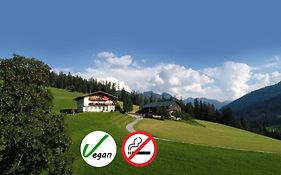Sauschneidhof - Radstadt