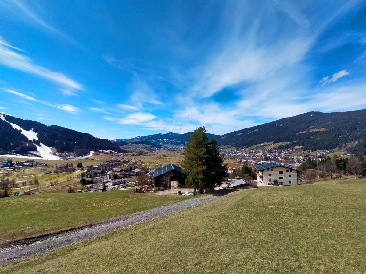 Sauschneidhof - Radstadt Buitenkant foto