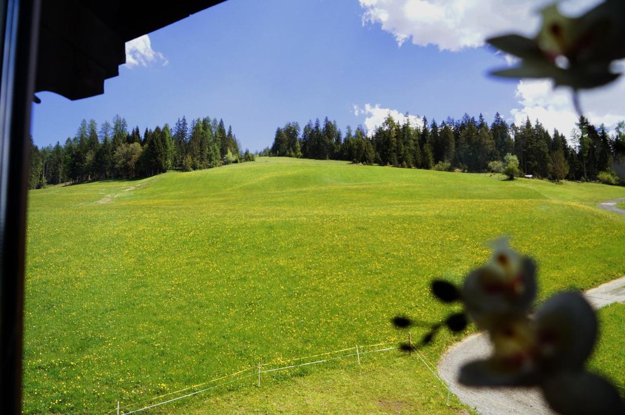 Sauschneidhof - Radstadt Buitenkant foto